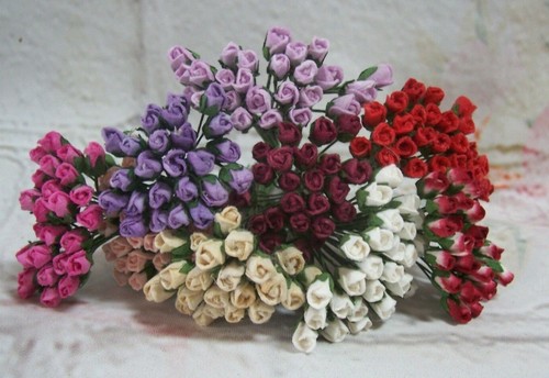 20x mini rose - rose, gelso