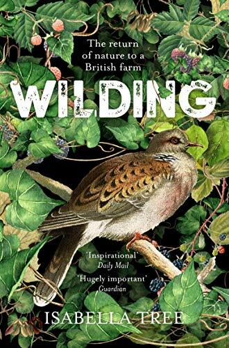 Wilding the return nature - the,