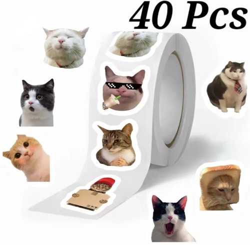 40x adesivi meme gatto