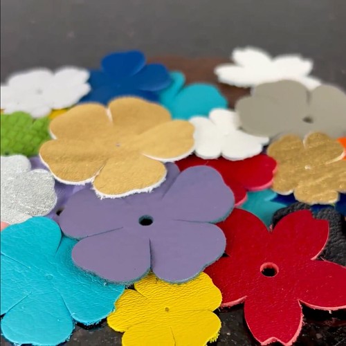 Ritagli cuore fiori vera - ritagli,